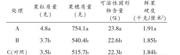 石河子市克瑞森無核葡萄架勢改造技術(shù)
