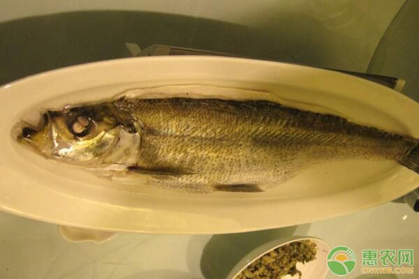 魚(yú)塘建址選擇要點(diǎn)、魚(yú)種投放、注水肥水等管理措施
