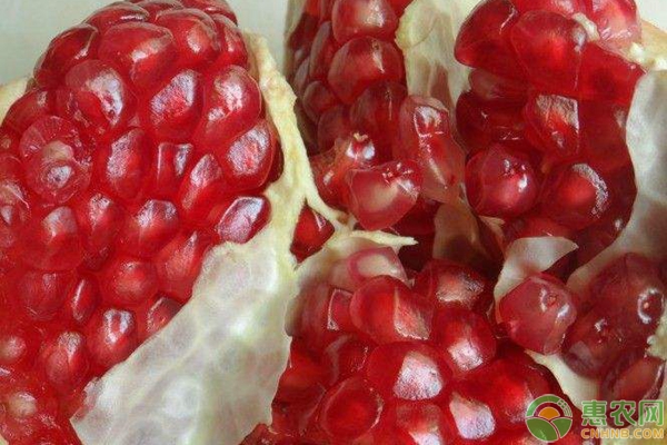石榴的種植栽培技術(shù)及病蟲害防治措施