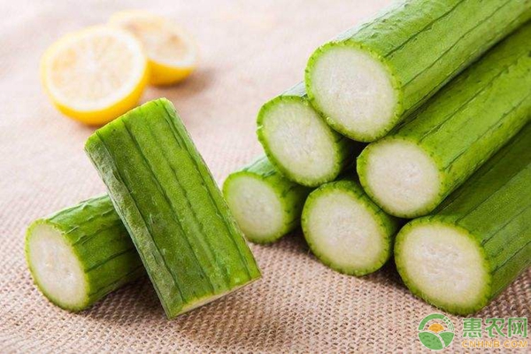 大棚絲瓜爛花的原因、解決方法就預(yù)防措施