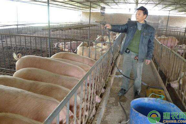 豬場消毒液