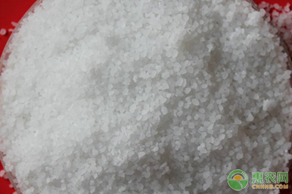 硅肥有哪些作用？有哪些品種？農作物硅肥施用技術