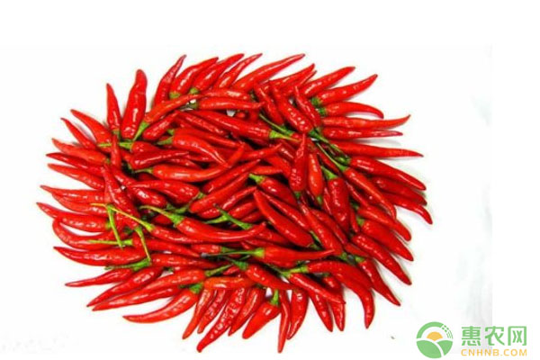 辣椒蓋地膜有哪些好處？什么時(shí)候播種？地膜辣椒栽培