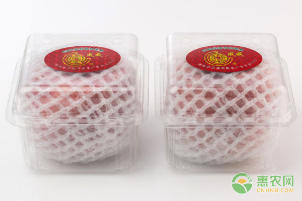 蘋果的包裝要點(diǎn)詳解
