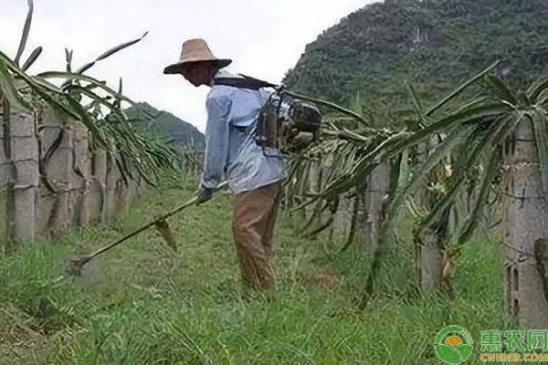 草甘膦