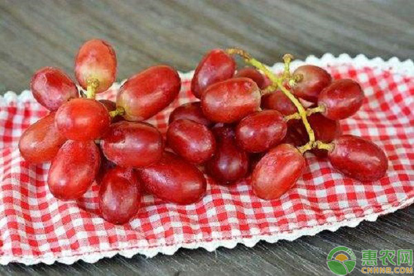 新鲜葡萄保存方法