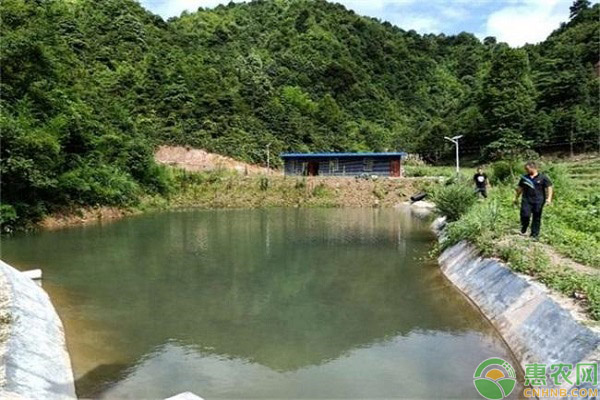 魚塘消毒技巧