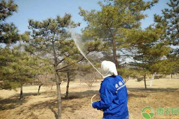 植物生長劑的使用方法