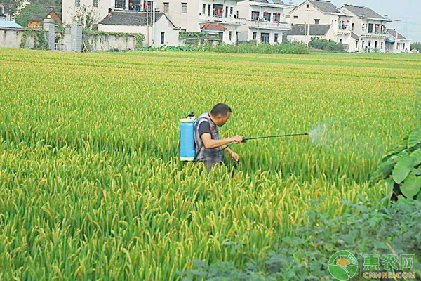 農(nóng)民容易遇到的幾個用農(nóng)藥誤區(qū)，不注意藥效會很差！