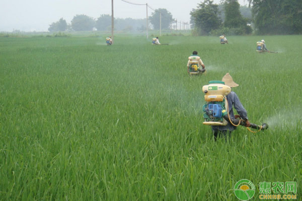 農(nóng)民容易遇到的幾個用農(nóng)藥誤區(qū)，不注意藥效會很差！