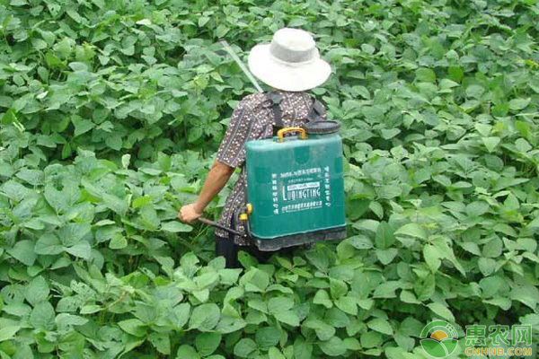 農(nóng)民容易遇到的幾個用農(nóng)藥誤區(qū)，不注意藥效會很差！