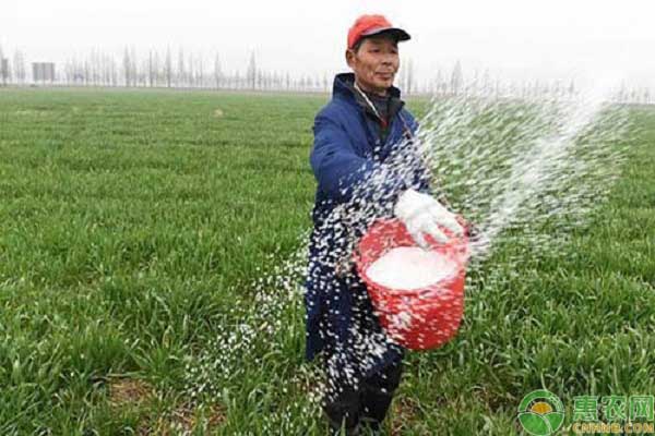 过量使用化肥的处理措施