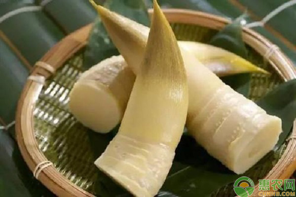 冬筍保存