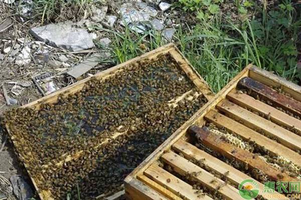 王臺(tái)接受率提高方法