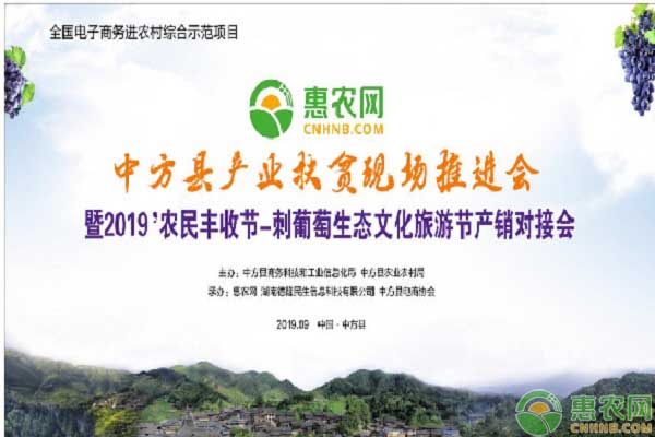 2019中方縣刺葡萄節(jié)9月12日盛大開幕，惠農(nóng)網(wǎng)暢通上行渠道
