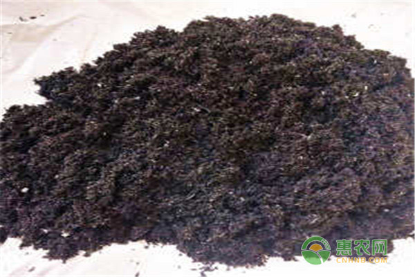 燒的稻殼灰的用途有哪些？多肉植物用稻殼灰要點