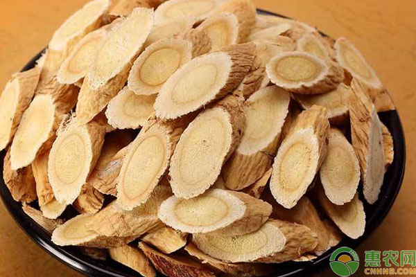 黃芪養(yǎng)雞好處