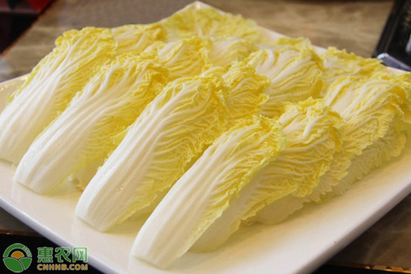 怎么種植出優(yōu)質(zhì)娃娃菜