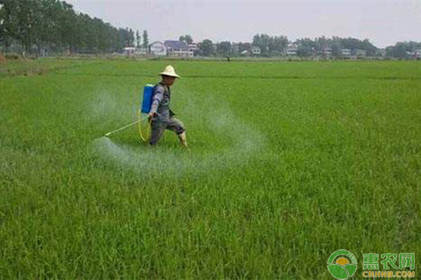 <a href='http://www.iweekee.cn/t/118698.html' class='j-href' target='_blank'><span style='color:#FF8001'>水稻除草劑</span></a>