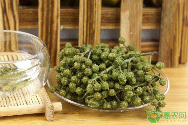 陽臺花盆種花椒樹的要點(diǎn)