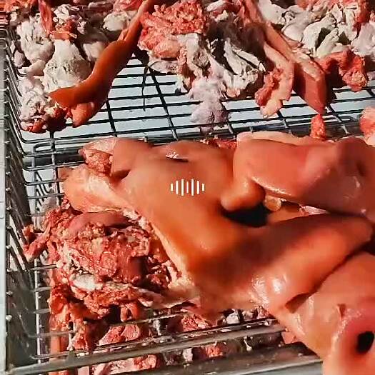 郑州精制猪头肉、八成熟、20斤净重、烈火烧毛、无毛不腥、纯干货。