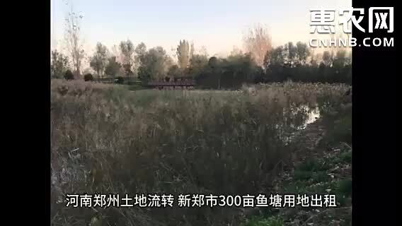 河南郑州土地流转：新郑市300亩鱼塘用地出租