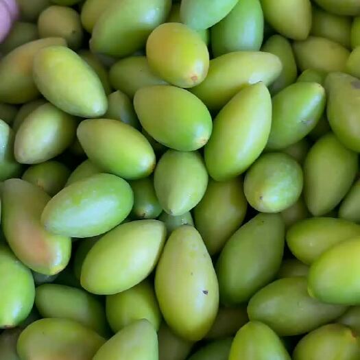 广州甜橄榄，货新鲜，无坏果，精心挑选的货，非常大果