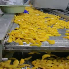 海阳市黄桃脆片 出口品质，黄桃脆条