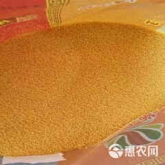 黄小米  23年山西沁州黄小米农户直发礼品袋装粘稠米油厚