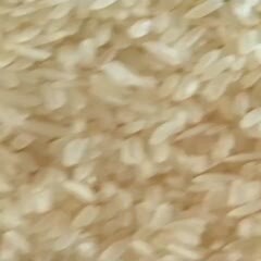  大米长粒大米丰良优系列优质杂交稻米二细长粒米