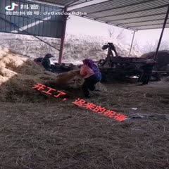 濮阳县稻草帘 稻草加工专业合作社常年生产各种规格草帘，草绳，草苫草支垫