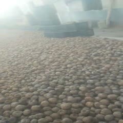 鲁甸县花魔芋  蘑芋成品，一代种，二代种