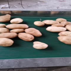 南阳丽薯2号土豆  精品丽薯，洋芋，产地直销，自盖冷库，全年都有货