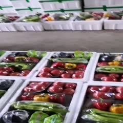 寿光市寿光蔬菜组合套菜 疫区蔬菜箱  单位福利 品质保障  新鲜