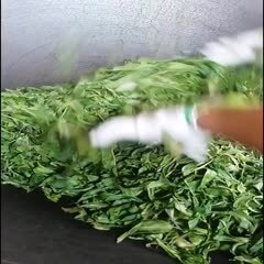 景谷县精选普洱茶生茶生态茶古树茶生普洱自产自销，一手货源，纯手工制