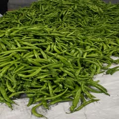 青州市尖椒线椒龙椒圆椒等各种辣椒已大量上市