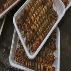 惠来县 深海九节虾：6条一斤