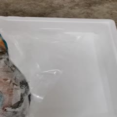 琼海市海鲜礼盒装 海鲜大礼包-海南海鲜礼包-西沙海鱼大礼包