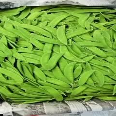 北京荷兰豆 精品去头珍宝豆产地直发，欢迎全国各地商户，超市选购