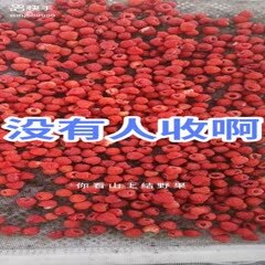 林口县树莓