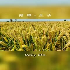 商河县小麦种子