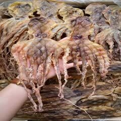 广州T级大号开章章鱼干表面很干净没有盐份足干货大个