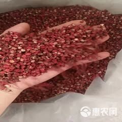 【包邮】批发2023陕西韩城花椒颗粒面食火锅产地直供香红麻净