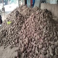 濮阳县商薯19高淀粉红薯，块大粉多，出粉率高