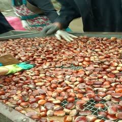 商城县信阳油栗，货真价实口味香甜，是捡尽坏果放心买。量大优惠多。