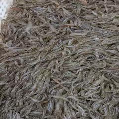 潜江市天然白米虾，超高活力，
干净透亮，颗粒饱满，补钙佳品