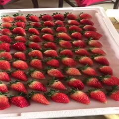 中牟县新鲜草莓上市大量上市了，基地直供可以长期供货，欢迎商超订购