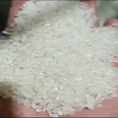 鹤岗批发东北新珍珠大米。