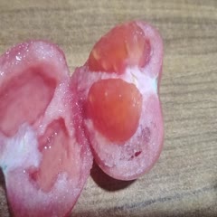 青州市毛粉西红柿小果