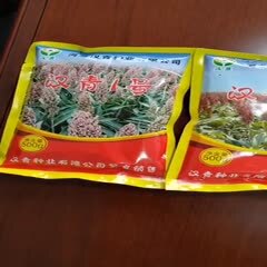 青县出售各积温带高粱种子品种包括汉青1号适应积温2500度、汉青